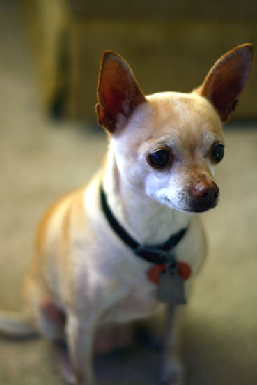 Particularit&eacute;