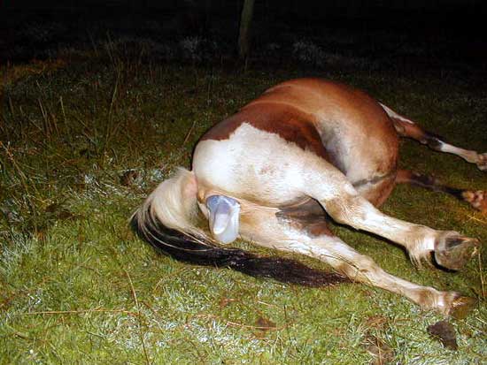 Naissance Etape Par Etape