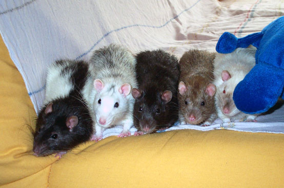 Apr&egrave;s le bain