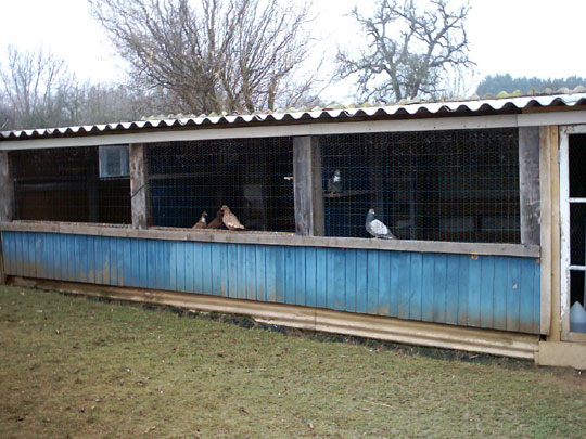 Pigeonnier n°1