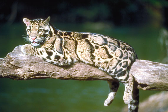 Alimentation et reproduction